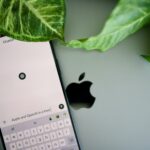 a cell phone sitting next to a green leaf