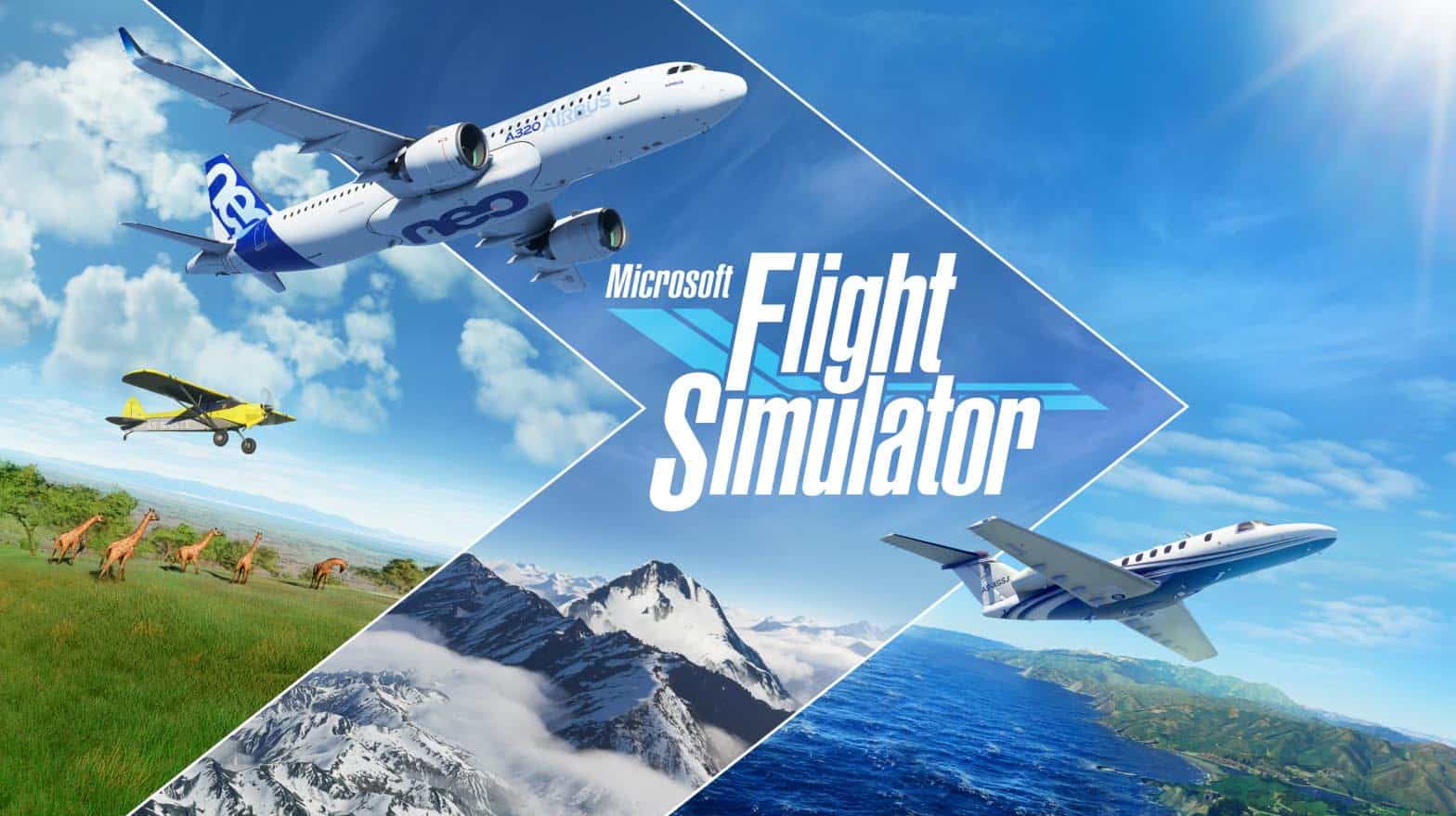 Microsoft Flight Sim