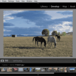 Adobe Lightroom