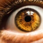 brown eyed human