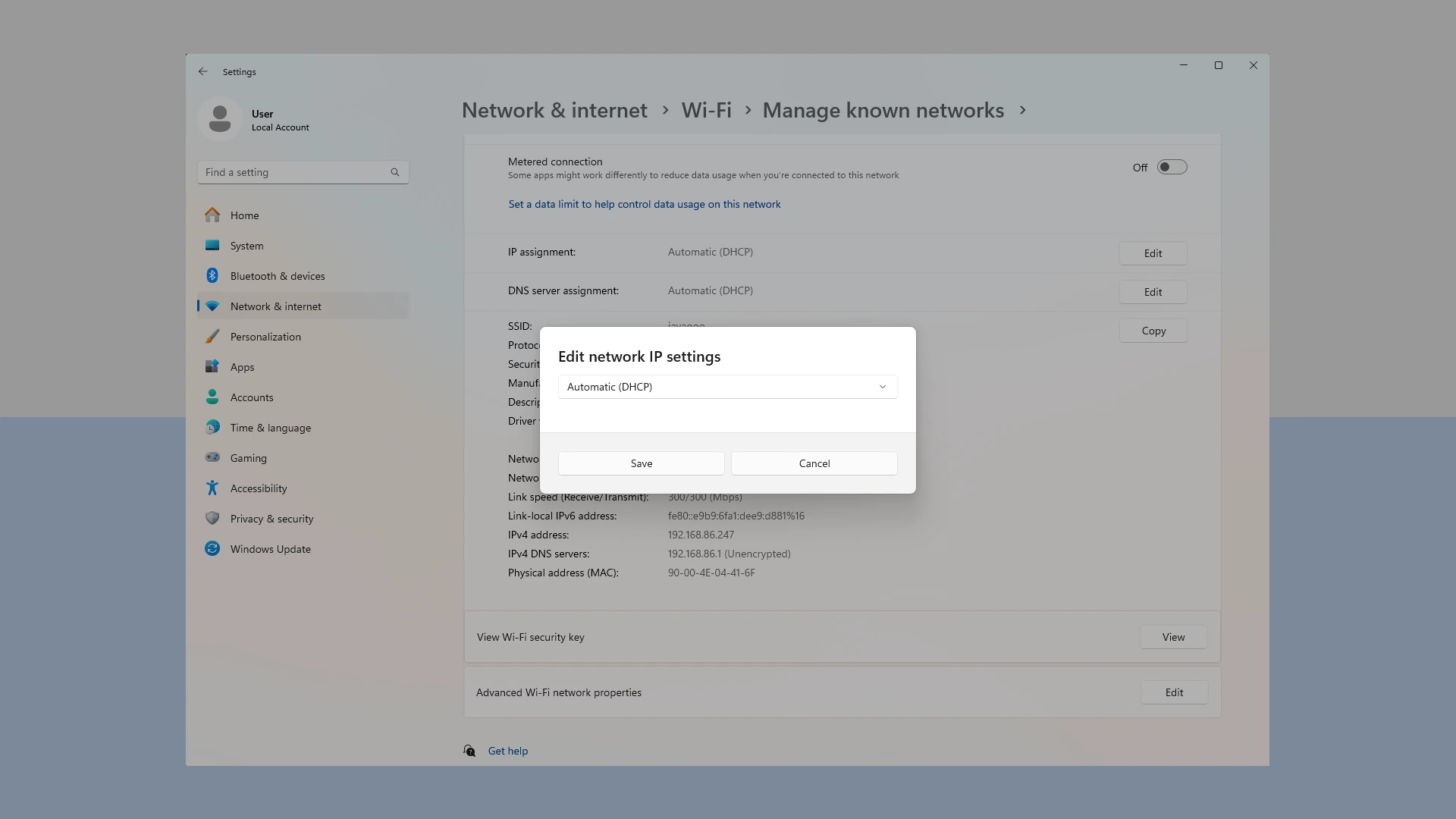 Windows IP/DNS Settings